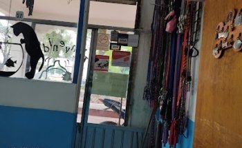 Estética Veterinaria