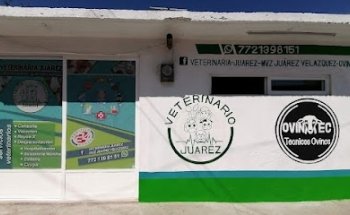 VETERINARIA JUÁREZ ‍