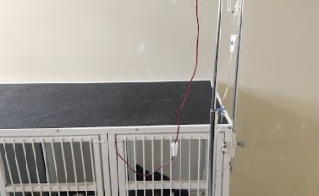 Clínica Veterinaria CanFel