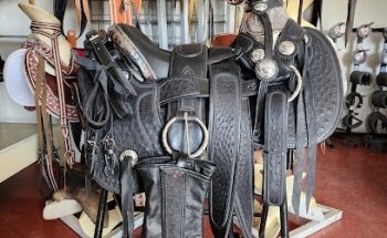 Veterinaria caballo prieto azabache