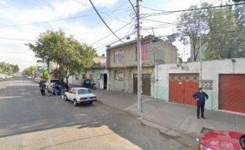 La casa de la mascota