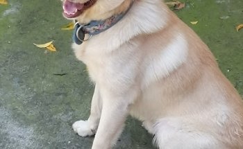 Clínica Veterinaria Nzaki Mbon'i