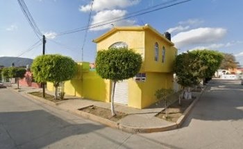 Mestizoo Servicios Veterinarios