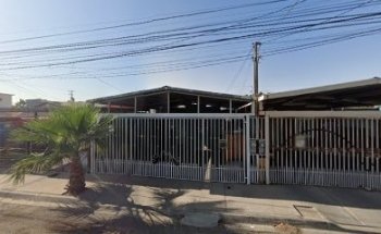 veterinaria pestonya