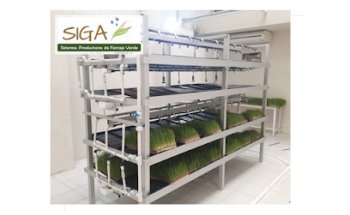 Ciencia y Estrategia S.C.