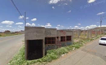 estetica veterinaria