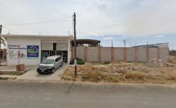 Servicio veterinario y estética Scooby Doo