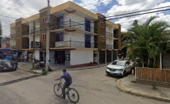 Servicio veterinario Mi manada