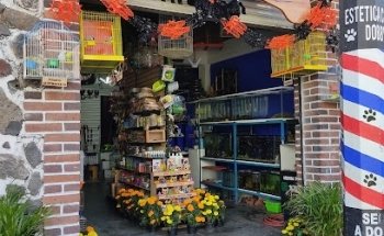 Veterinaria y Estetica Canina 