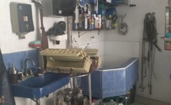 Veterinaria El pollito