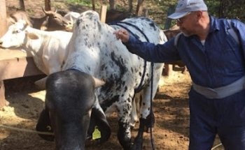 Veterinaria de Villa Madero