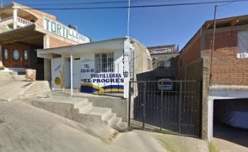 LA PERRUQUERIA ESTETICA VETERINÁRIA