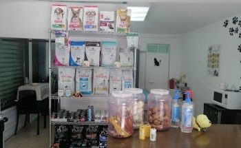 Innova Pets Obrero