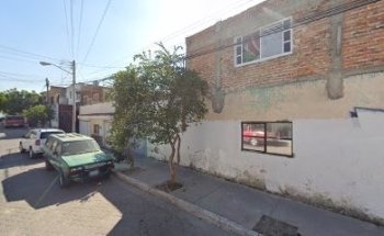 Animal City Veterinaria