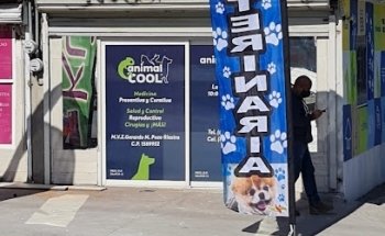 AnimalCOOL