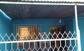 Clínica Veterinaria Dogmanía