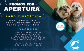 CIBA | Centro Integral de Bienestar Animal