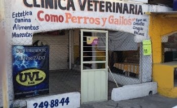 Clínica Veterinaria Como Perros y Gallos