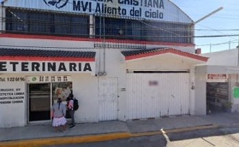 Servicios Médicos Veterinarios