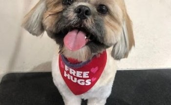 Vet 100 Farmacia y Veterinaria