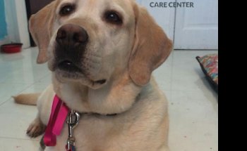 Pet Lover Care Center