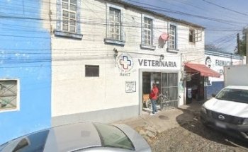 AsveT Clínica Veterinaria