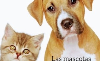 Veterinaria Animalitos