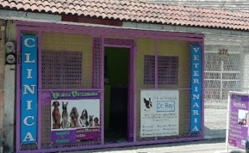 Clínica Veterinaria 