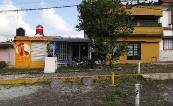 VETERINARIA DE POCAS PULGAS