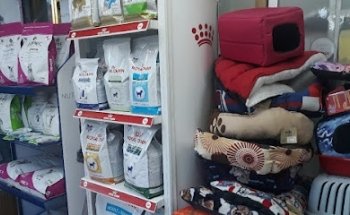 Clínica Veterinaria CAT