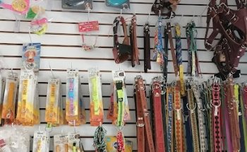 Veterinaria Emmanuel