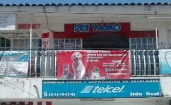 Pet-YAMO