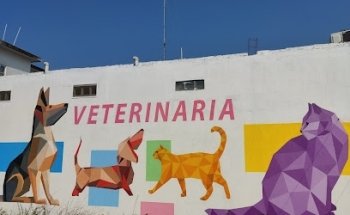 SERVICIOS MEDICOS VETERINARIOS SAN MARTIN DE PORRES