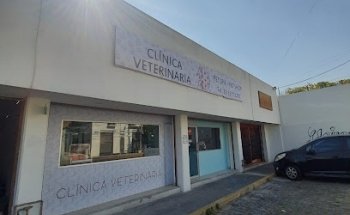 Veterinaria Oh My Cat!