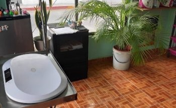 Peludos Servicios Veterinarios