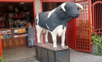 Veterinarias Y Mascotas