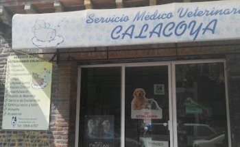 Servicio Médico Veterinario Calacoaya