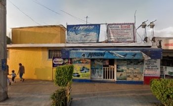 Veterinario Felipe Ramos