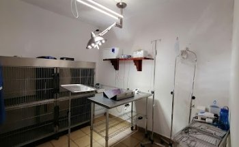 Veterinaria El Porvenir