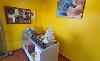 Animal World Veterinaria