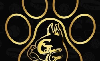 Clinica Veterinaria Boxers