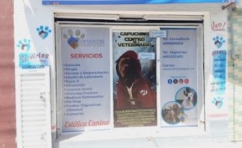 CAPUCHINO CENTRO VETERINARIO