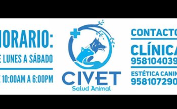 Civet Huatulco Salud Animal