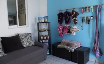 Veterinaria Toby Town Consultorio y Estética