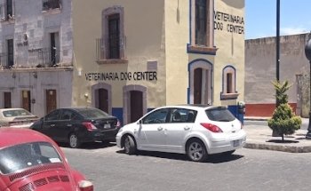 Veterinaria Pet Buddies