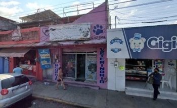 Veterinaria y acuario mi cachorro