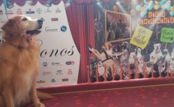 Kronos Veterinaria y Estetetica.