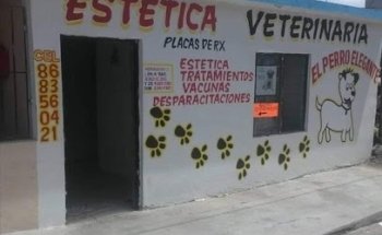 Veterinaria El perro elegante