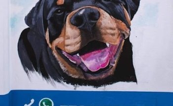 Servicios Veterinarios del sur