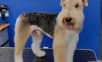 Clínica Veterinaria Mixiuhca